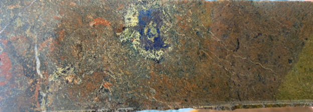 Fig1