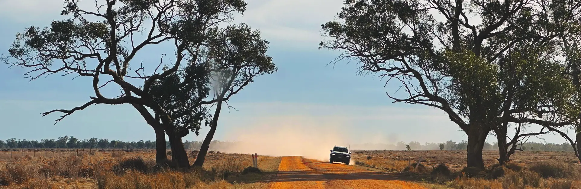 <span>Driving Toward</span> Discovery